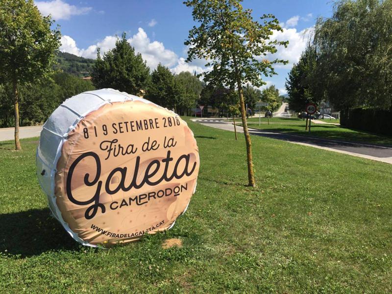 Llanars, En Vall De Camprodon Vistas Montana De Frente, Ascensor, Orientacion Sur, Chimenea, Wifi, Mollo Park, Vallter, Hipica, Golf Eksteriør bilde